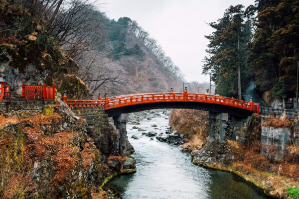 Full-Day Guided Tour in Nikko