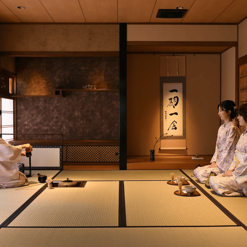 Special tours and cultural activities